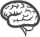 Brain