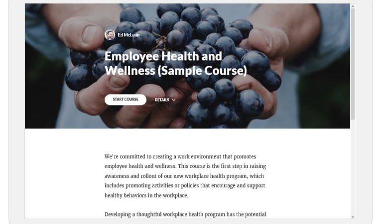 Is Articulate Rise right for&nbsp;you?